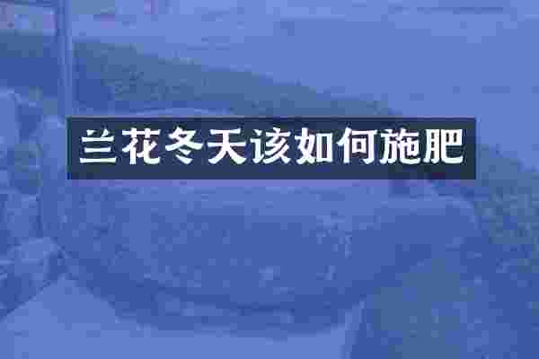 兰花冬天该如何施肥