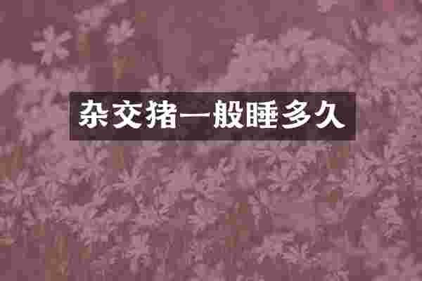 杂交猪一般睡多久
