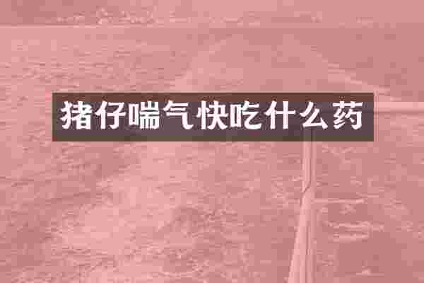 猪仔喘气快吃什么药