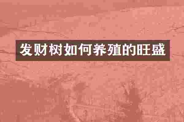 发财树如何养殖的旺盛