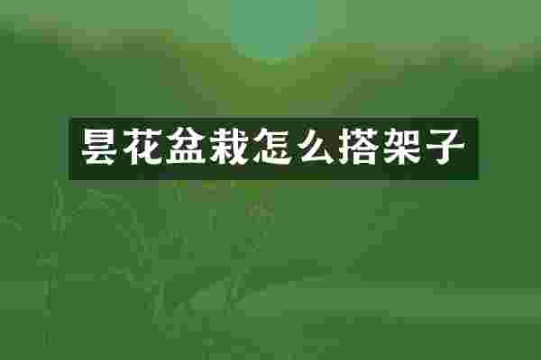昙花盆栽怎么搭架子