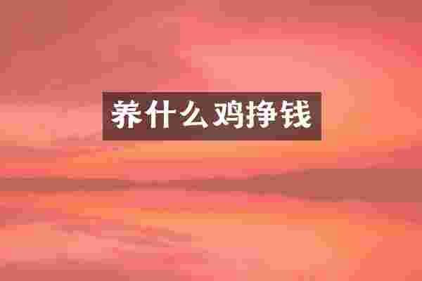 养什么鸡挣钱