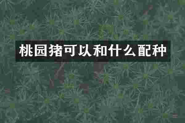 桃园猪可以和什么配种