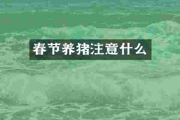 春节养猪注意什么