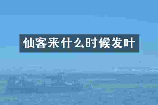 仙客来什么时候发叶