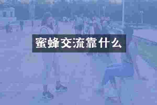 蜜蜂交流靠什么