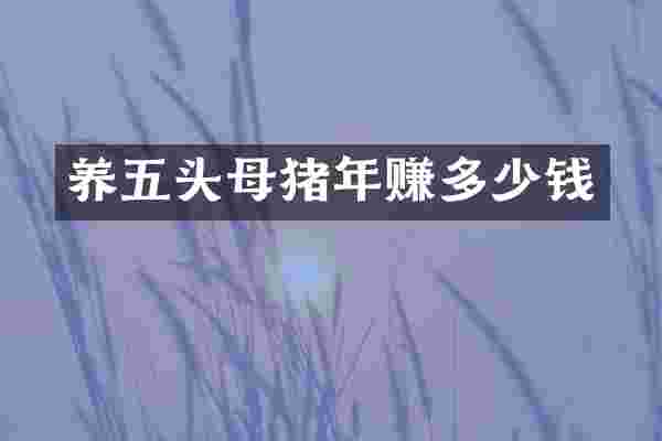 养五头母猪年赚多少钱