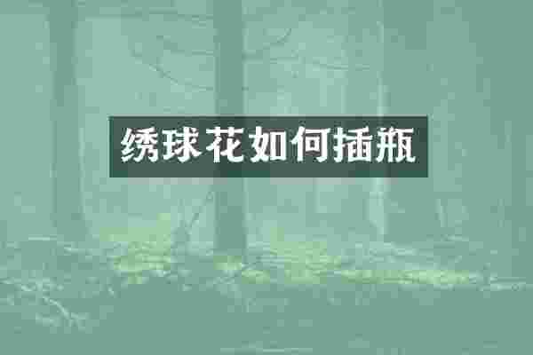 绣球花如何插瓶