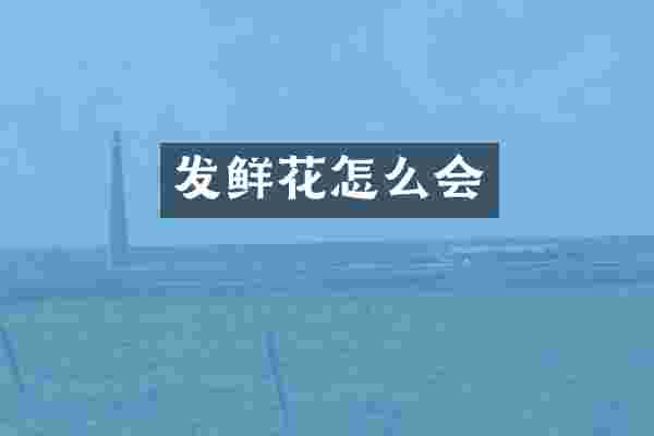 发鲜花怎么会