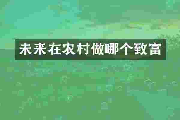 未来在农村做哪个致富