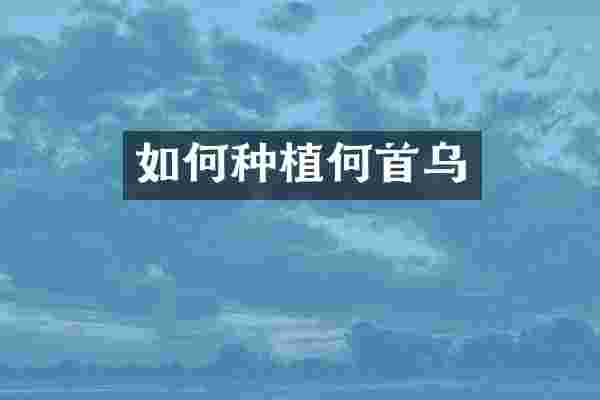 如何种植何首乌