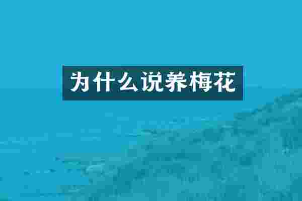 为什么说养梅花