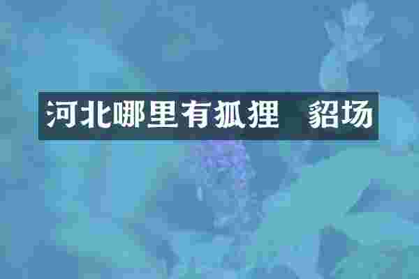 河北哪里有狐狸  貂场