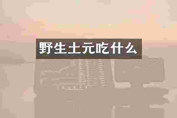 野生土元吃什么