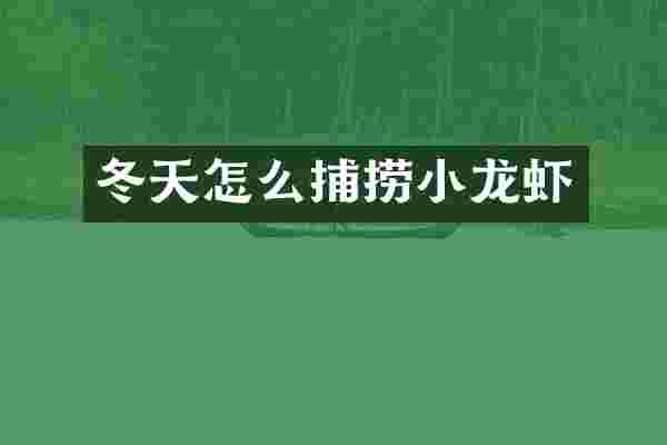 冬天怎么捕捞小龙虾