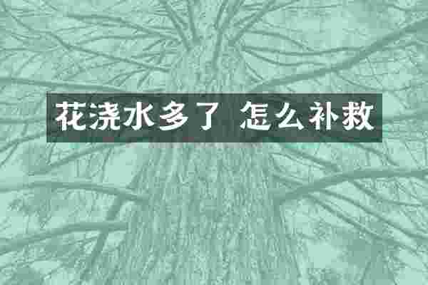 花浇水多了 怎么补救
