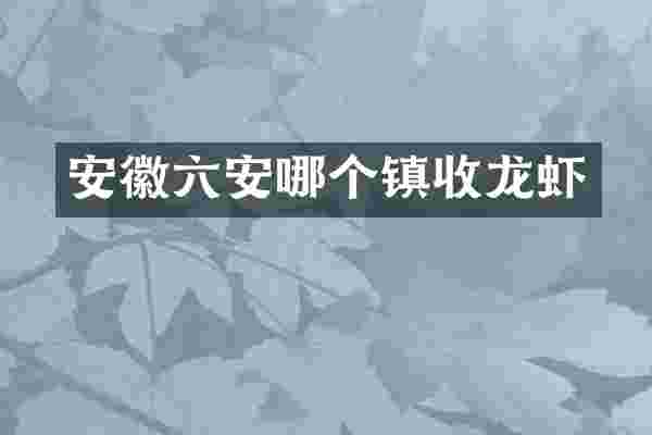 安徽六安哪个镇收龙虾