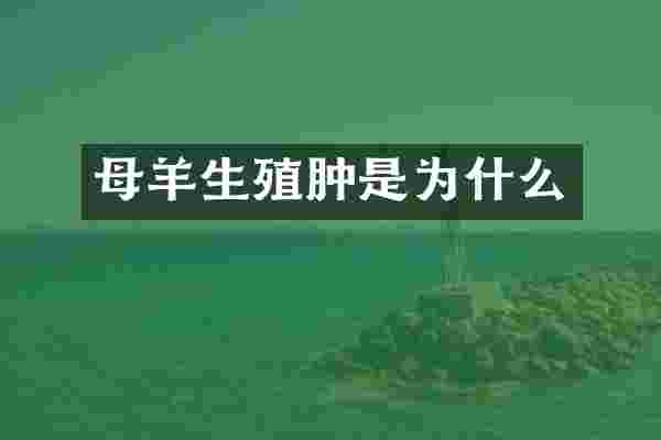 母羊生殖肿是为什么