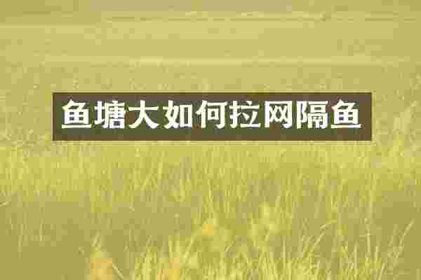 鱼塘大如何拉网隔鱼