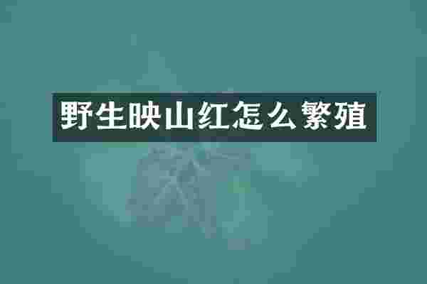野生映山红怎么繁殖