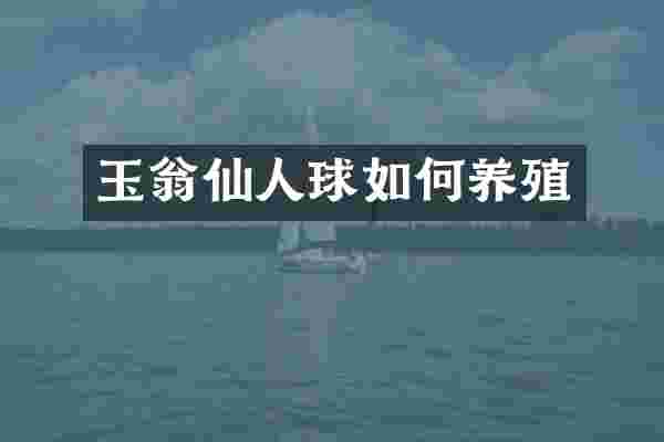 玉翁仙人球如何养殖