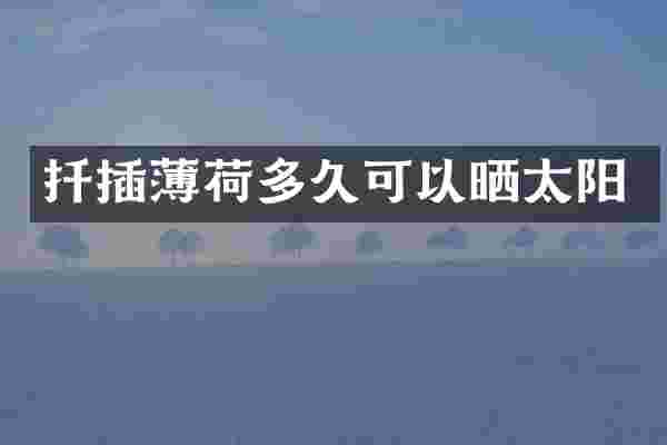 扦插薄荷多久可以晒太阳