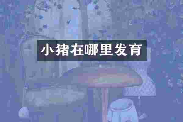 小猪在哪里发育