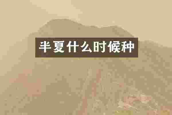 半夏什么时候种