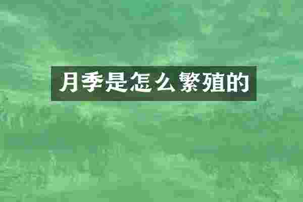 月季是怎么繁殖的