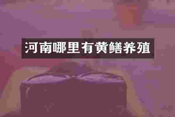 河南哪里有黄鳝养殖