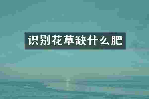 识别花草缺什么肥