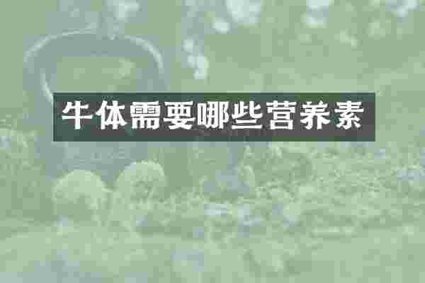 牛体需要哪些营养素