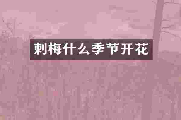 刺梅什么季节开花