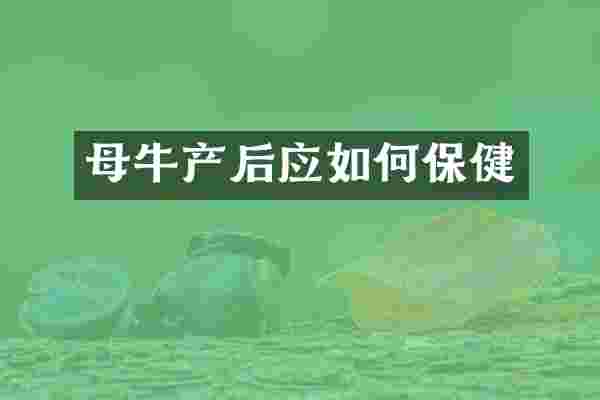 母牛产后应如何保健
