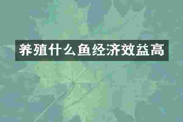 养殖什么鱼经济效益高