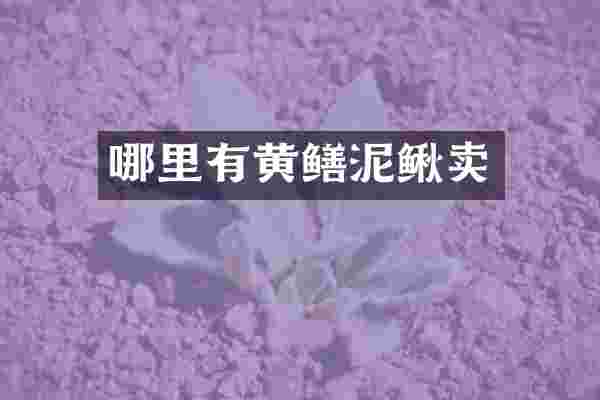 哪里有黄鳝泥鳅卖