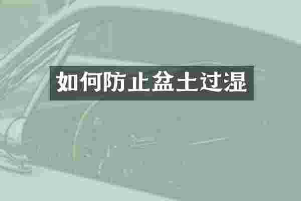 如何防止盆土过湿