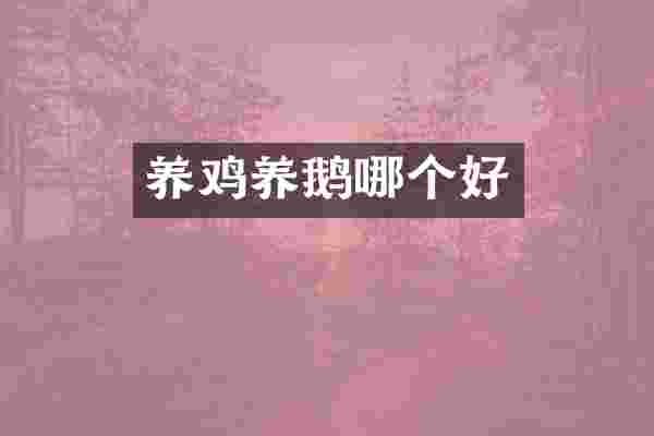 养鸡养鹅哪个好