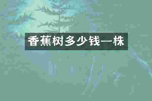 香蕉树多少钱一株