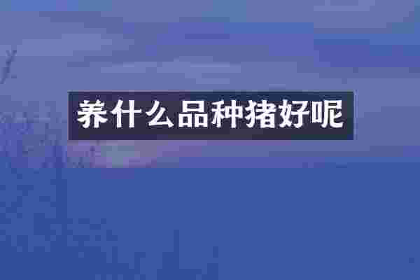 养什么品种猪好呢
