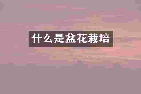 什么是盆花栽培