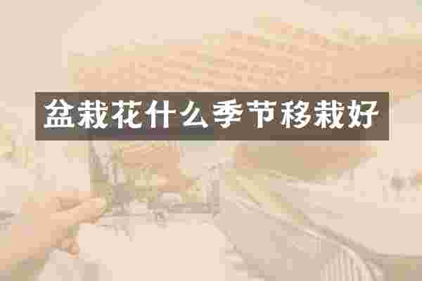 盆栽花什么季节移栽好