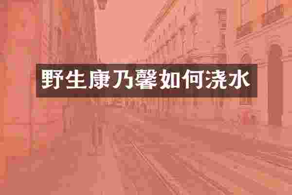 野生康乃馨如何浇水