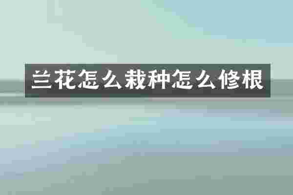 兰花怎么栽种怎么修根