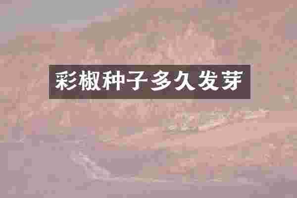 彩椒种子多久发芽