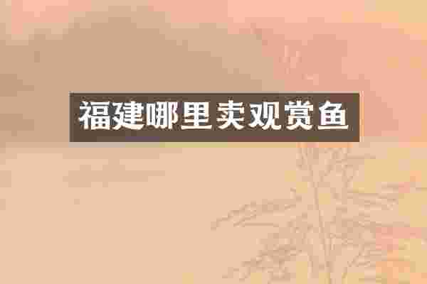 福建哪里卖观赏鱼