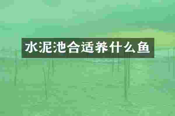水泥池合适养什么鱼