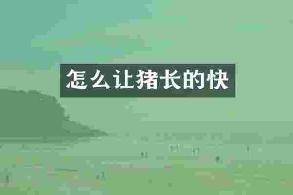 怎么让猪长的快