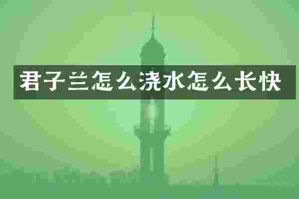 君子兰怎么浇水怎么长快
