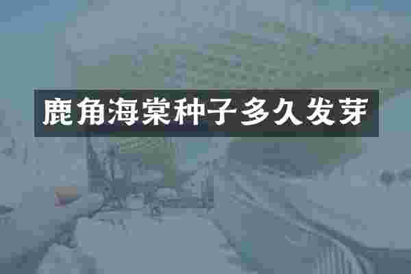 鹿角海棠种子多久发芽